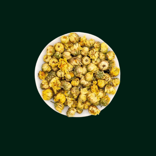 EVA YELLOW CHRYSANTHEMUM