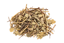 Stachy Inflata.png