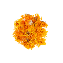 EVA CALENDULA HERBS (NARENJ)