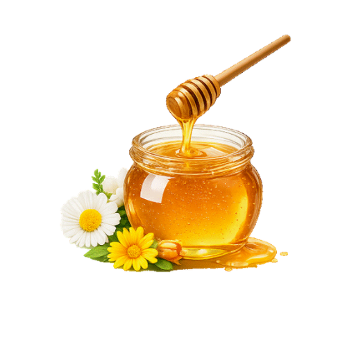 EVA ORGANIC UNIFLORAL HONEY