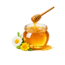 EVA ORGANIC UNIFLORAL HONEY