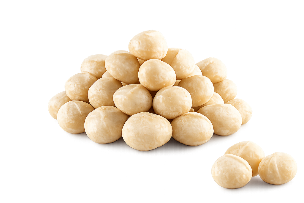 MACADEMIA NUTS JUMBO