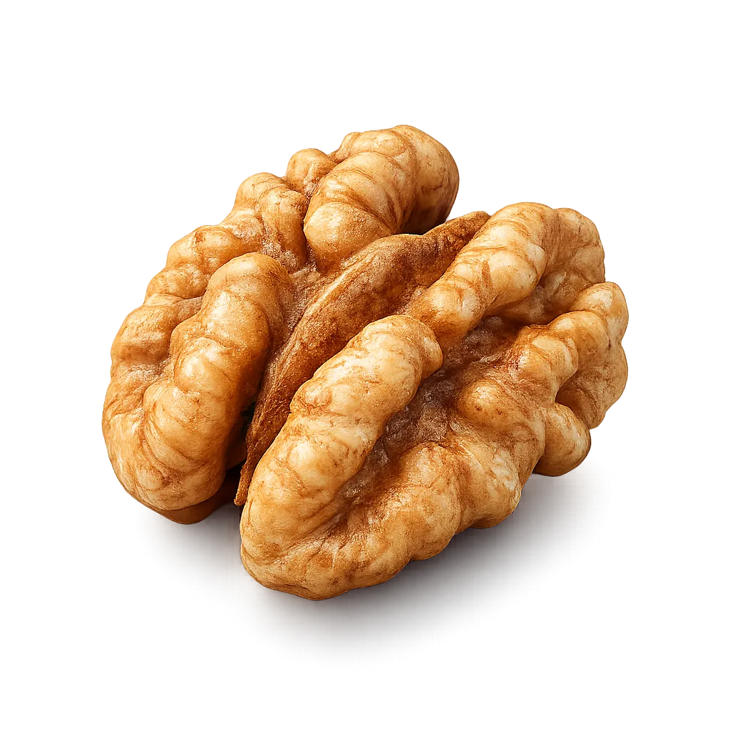 EVA SHELLED WALNUT.webp