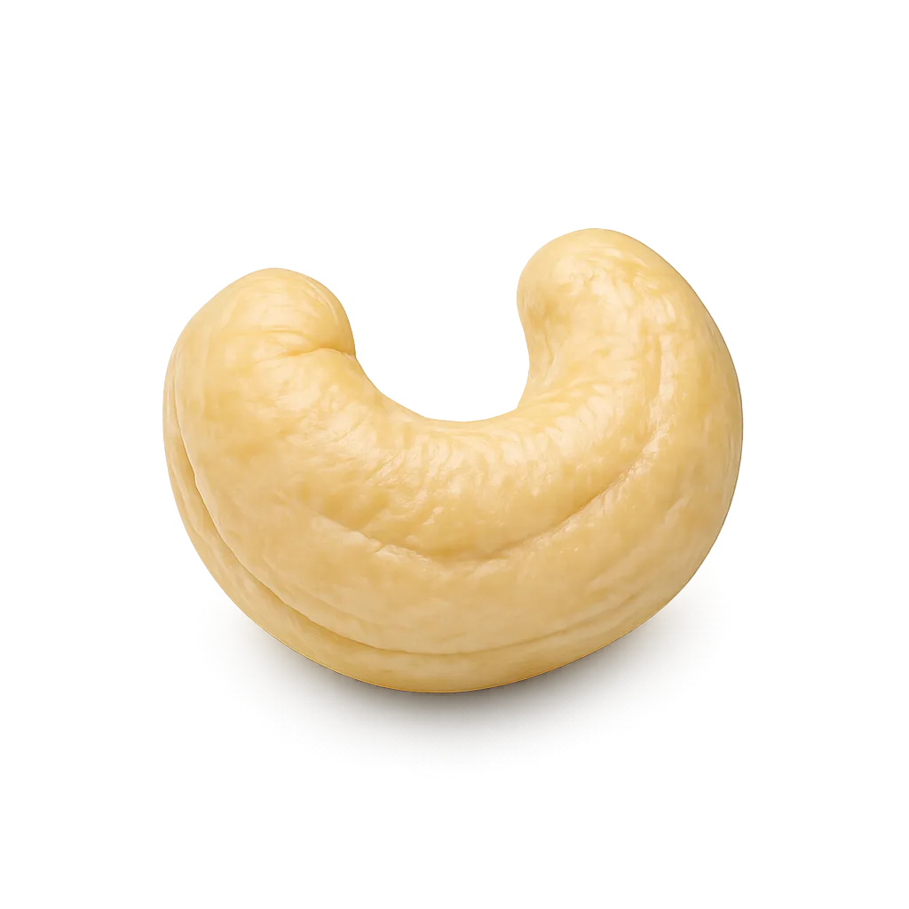 CASHEWNUT.webp
