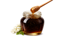 EVA ACACIA HONEY
