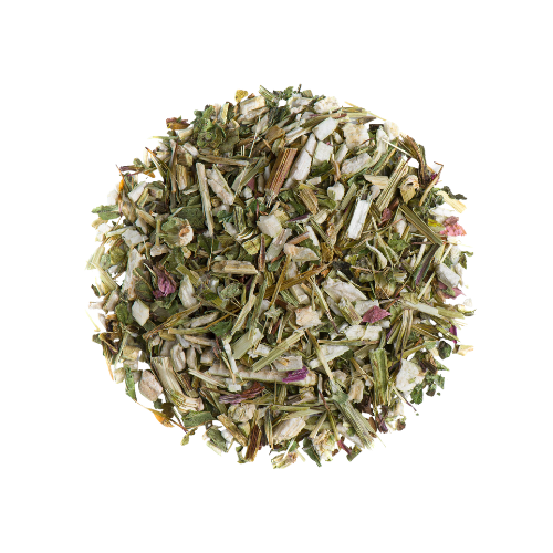 [EVA.TC.0022] CONEFLOWER HERBS