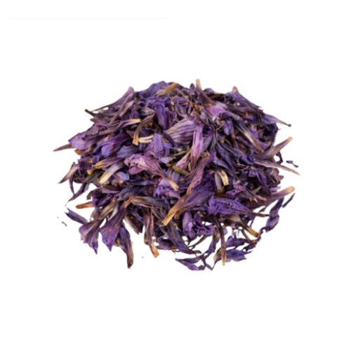 [EVA.TC.0007] ECHIUM ELEGANCE HERBS