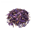 ECHIUM ELEGANCE HERBS