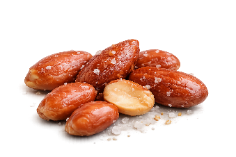 PEANUT IN-SHELL SALTED