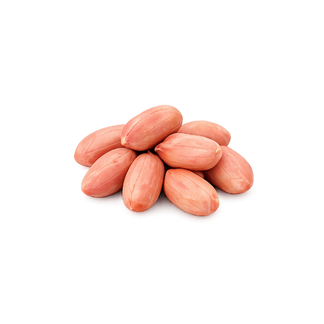 [EVA.NU.0117] JUMBO PEANUT