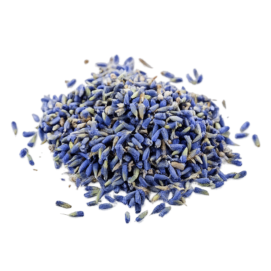 [EVA.TC.0009] LAVENDER HERBS