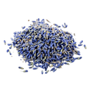 LAVENDER HERBS