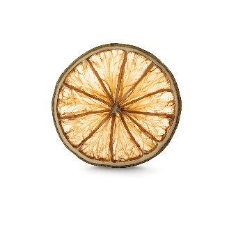 [EVA.TC.0002] LIME SLICE