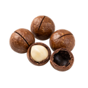 MACADEMIA IN-SHELL