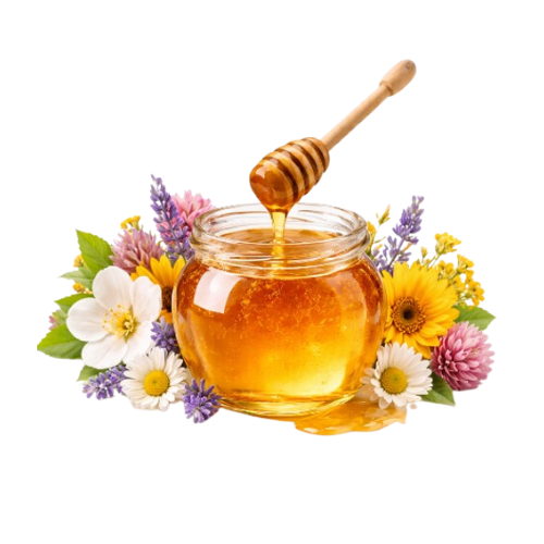 [EVA.HO.0002] ORGANIC POLYFLORAL HONEY