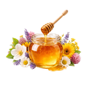ORGANIC POLYFLORAL HONEY