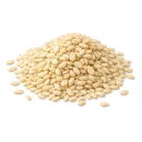 SESAME SEEDS