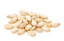 SESAME SEEDS