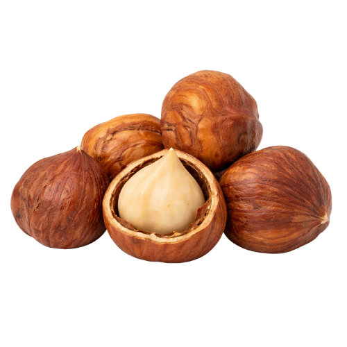 SHELLED HAZELNUT