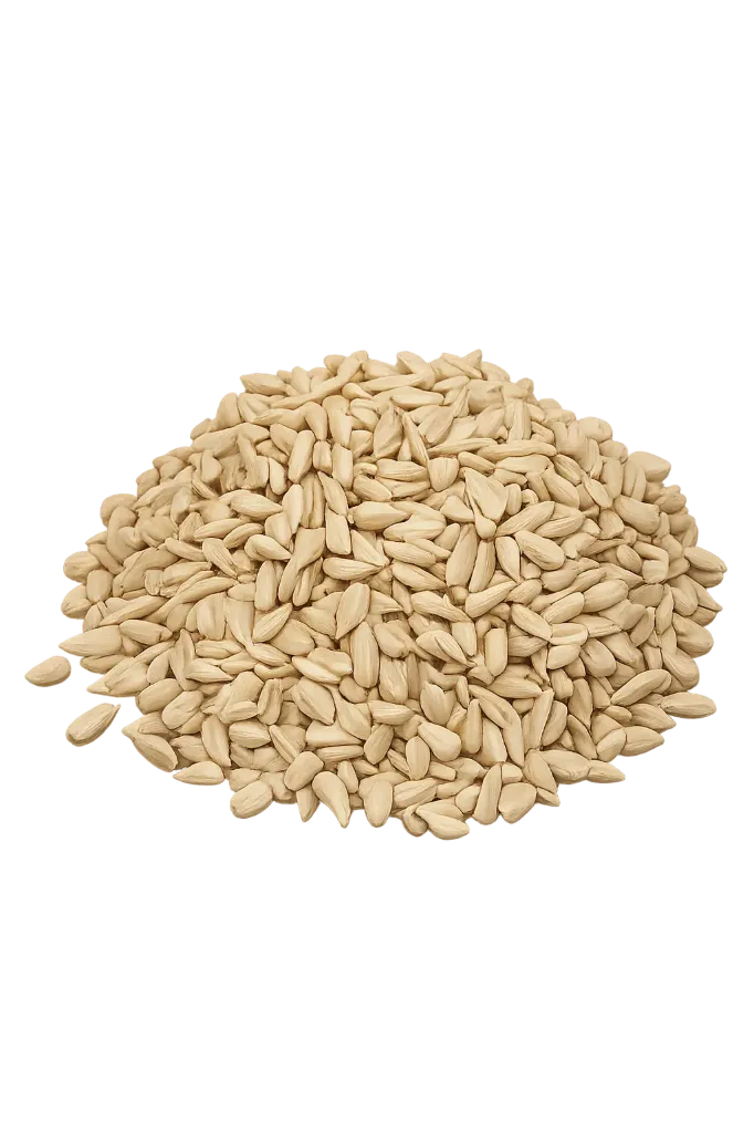 [EVA.NU.0049] SUNFLOWER SEEDS - KERNEL