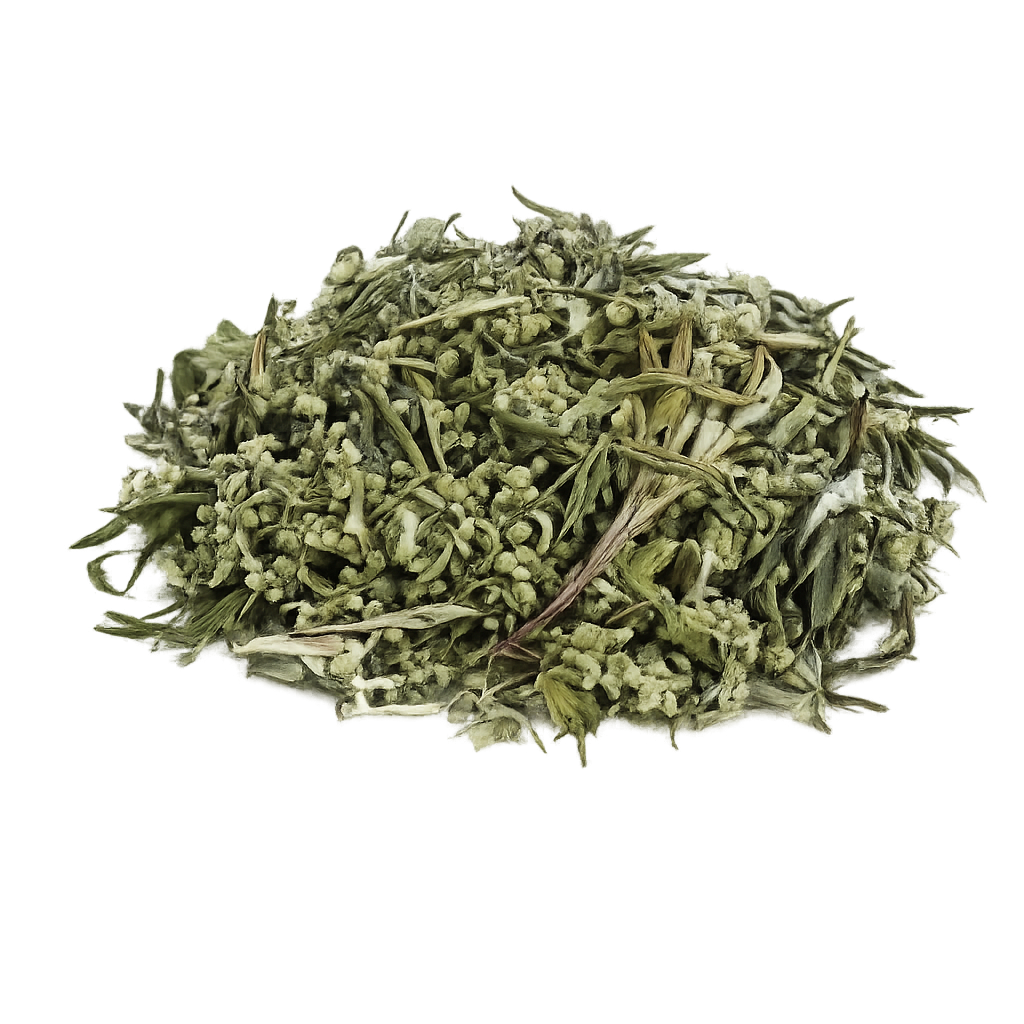 ARTEMISIA FLOWER HERBS