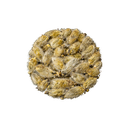 MUSK WILLOW (BIDMESHK)