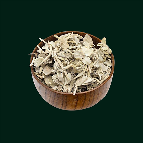 STACHYS INFLATA (PULAK)