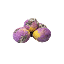 PEONY FLOWER WHITE