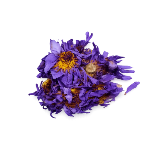 [EVA.TC.0161] DRIED BLUE LOTUS