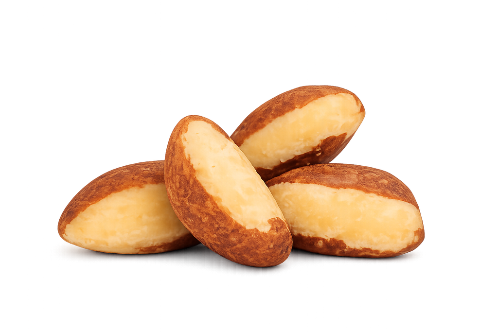 BRAZILIAN NUTS