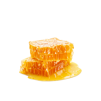 [EVA.HO.0029] COMB HONEY 250GR