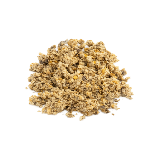 [EVA.TC.0152] EVA YELLOW CHRYSANTHEMUM